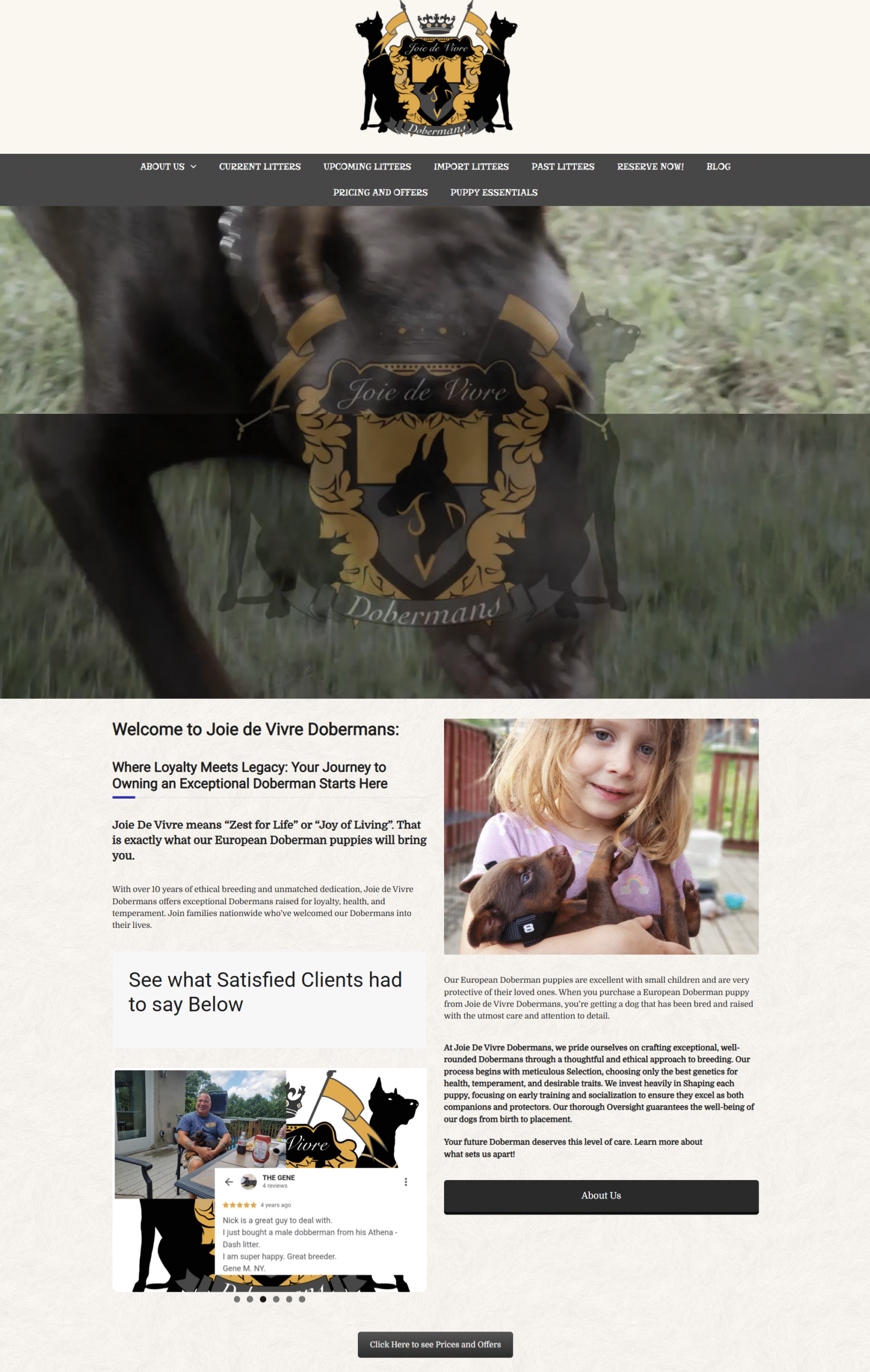 portfolio